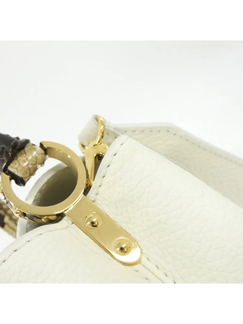 Louis Vuitton Exotic Leather Capucines Bag